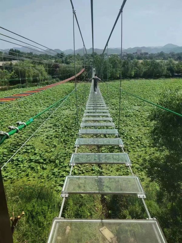 步步惊心